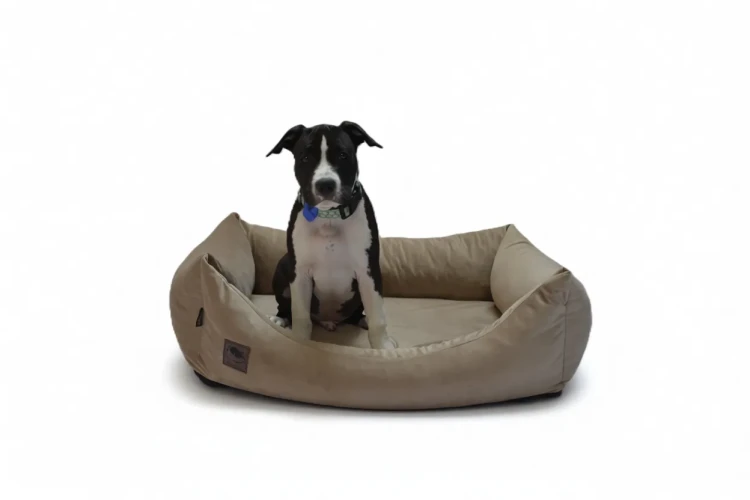 legowisko cloudpaw basic welur (4).webp
