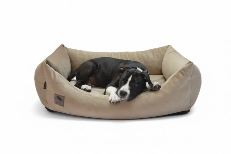 legowisko cloudpaw basic welur (5).webp