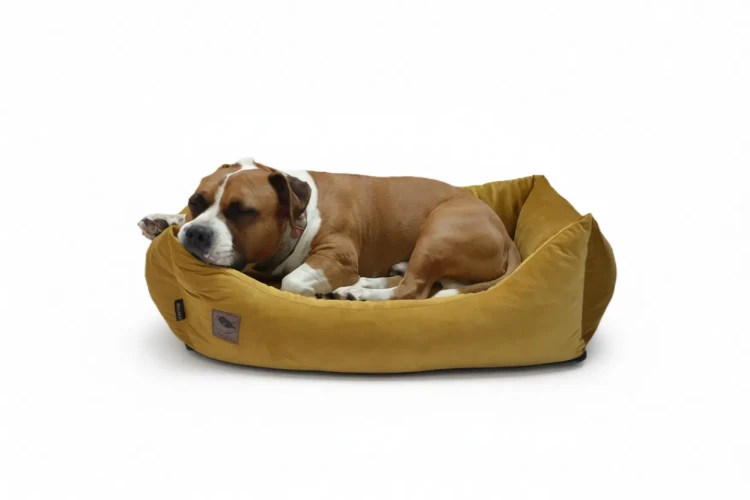 legowisko cloudpaw basic welur (9).webp