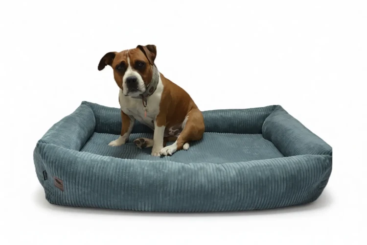 legowisko cloudpaw classic sztruks (3).webp