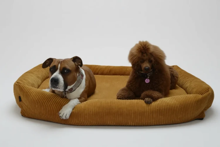 legowisko cloudpaw classic sztruks (5).webp